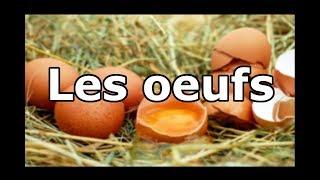 Nutriman- Les oeufs #Aliments