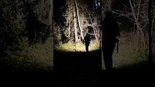 Caught in the dark on a solo hike #hiking #backpacking #ambient