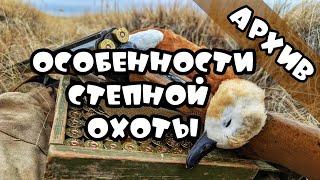 Охота на гуся в осенний периодперелётный гусь.