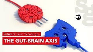 Watch online lecture  The gut-brain axis  Dr. Laura Steenbergen