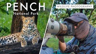 Wildlife Photography in Pench National Park  TIGER COUNTRY Ep. 1 -  Leopard Quest