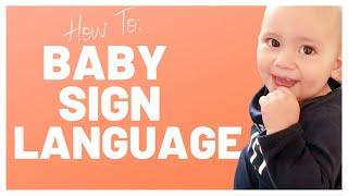 TEACH YOUR BABY TO SIGN - BABY SIGN LANGUAGE BASICS + 5 EASY SIGNS