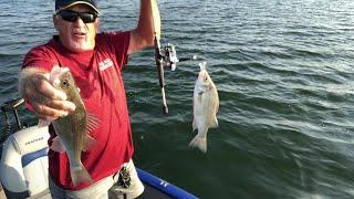White Perch Fishing Using Slider Jigs