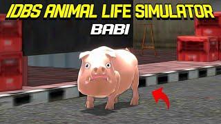 IDBS ANIMAL LIFE SIMULATOR BABI 