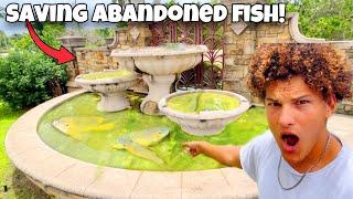 Saving ABANDONED Aquarium FISH In GREEN SLIME POND