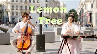 中西合璧｜Lemon Tree！古箏與大提琴一起刷新碰撞，刷新相遇Chinese Musical Instruments Guzheng Cover 碰碰彭碰彭Jingxuan