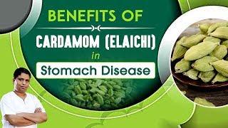 Benefits Of Cardamom Elaichi in Stomach Disease  Acharya Balkrishna