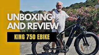 A Machine of Great Potential-King 750 Ebike Review