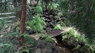 The Tropical Greenhouse at Pinetum Blijdenstein