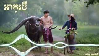 អាក្របី 2019 RB  Remix 2019 Tik tok MiNi NonStop