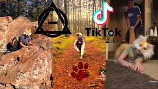 Therian and Quadrobics TikToks  Compilation 🪱🪲 Alterhumans of TikTok #81