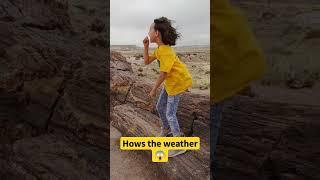 Weather Adventure High Winds at the Petrified Forest with Our Talented Young Reporter