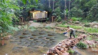 Build streams into ponds stock fish harvest fish for smoking. 2 Year Off Grid Cabin in Forest