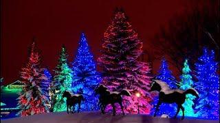 Spruce Meadows Christmas Lights Calgary Canada