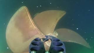 Inspecting a yatch - Found rope on the propeller - Underwater drone