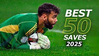 Best 50 Goalkeeper Saves 202425  HD #4