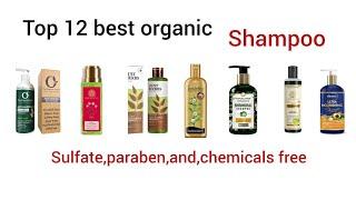 best organic natural shampoo  sulphate perabhen & chemical free 