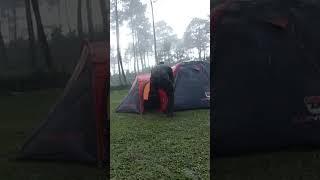 SOLO CAMPING HEAVY RAIN #shorts  #campinginheavyrain  #campingintherain #solocamping  #camping