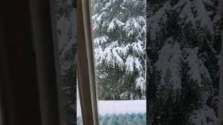 This view right now from my window Yes in heaven ️#manalidiaries #snow #gratitude#manali- Anchal