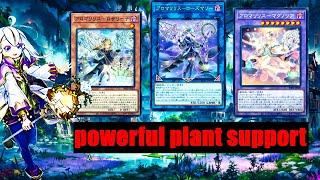 YGOPROAroma deck pureAromalylith MagnoliaAromalylith RosemaryPHNI