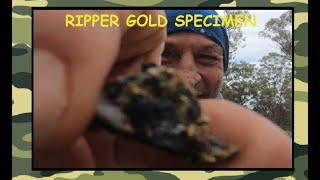 Big Gold Nugget Specimen Cleaning & Weighing. Episode 174