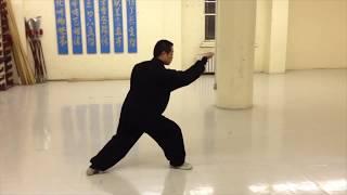 Xing Yi Quan Hsing-I 河北形意拳  5 Elements Slow-Motion Demonstration