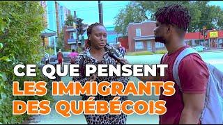 Ce que pensent les immigrants des Québécois