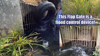 Clogged Culvert Holds Back a Massive Amount of Water