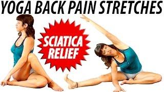 How to Yoga Back Pain Relief Stretches and Exercises Beginners Low Back Pain & Sciatica