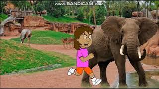 Dora Misbehaves At The Field TripGrounded MOST VIEWED VIDEO