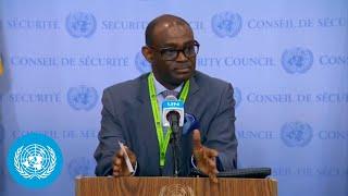 Sudan on the situation in the Country - Security Council Media Stakeout  United Nations