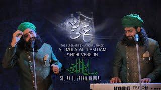 ALI MOLA ALI DAM DAM  Official Track  Remix  Sultan Ul Qadria  Audio  Qawwali Network