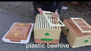 2022 New Product Plastic Beehive Good Frade Plastic Bee Hive Box Langstroth Customized Beehives