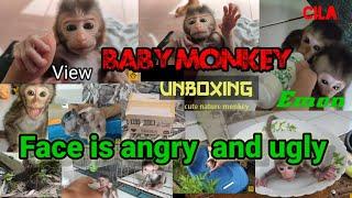 Baby monkey face is angry and ugly
