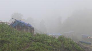 Simple Nepali Rural Village in Mountain  Life with Daily Cold Rain - Relaxing Nature  IamSuman