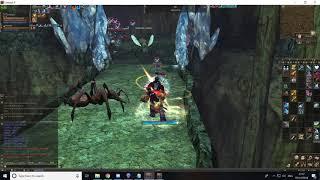 Lineage 2 Classic Giran 1v9 Tyrant