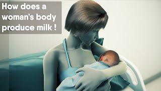How does a womans body produce milk?