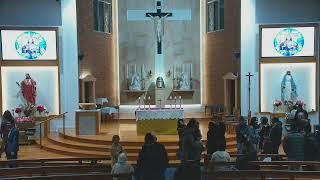 Catholic Mass for 15th Sunday in Ordinary Time - 13 July 2024 - 5pm