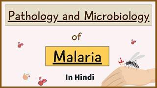 Pathology and Microbiology of Malaria  MLT  In Hindi  By Madhukar Sir