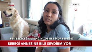 Evin Köpeği Evin Bebeğini Kıskanırsa