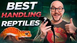 The Most Handleable Pet Reptiles No Bites Just Love