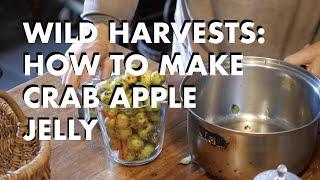 Wild Harvests How To Make Crab Apple Jelly