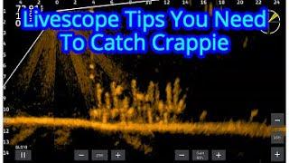 Crappie Fishing Tips using Garmin Livescope   Garmin Livescope Tips to Catch Crappie