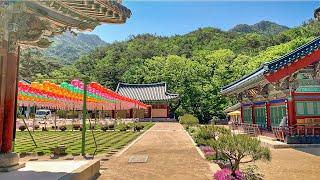 4K Walk along Jinkwansa Buddhist temple Peaceful Seoul Korea 서울 은평구 진관동 진관사 절에서의 휴식 津寬寺