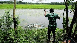 বড় বিল থেকে বড় রুই মাছ ধরা  Fishing in Beel 2021