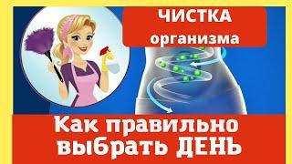 Чистка организма.  Как правильно выбрать день? Домашний лечебник.