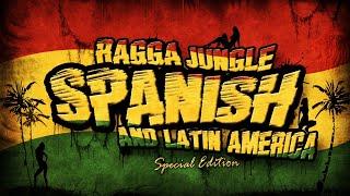 RAGGA JUNGLE SPANISH AND LATIN AMERICA - Drum n Bass Mix