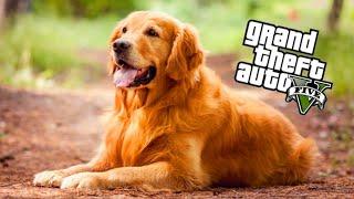 GTA 5 GERÇEK HAYAT  - Yeni Köpek Aldık   #9