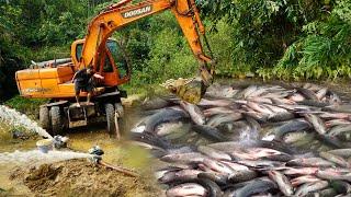 Fishing Technology Use Large Excavator & Cannon Pump Sucks Water Catch Many Fish In Lake