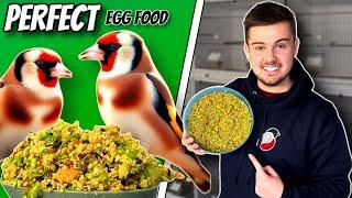 How to make the BEST Egg Food for birds  Finches & Canaries